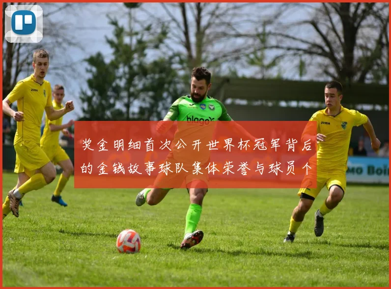 奖金明细首次公开世界杯冠军背后的金钱故事球队集体荣誉与球员个人收益的深情交织